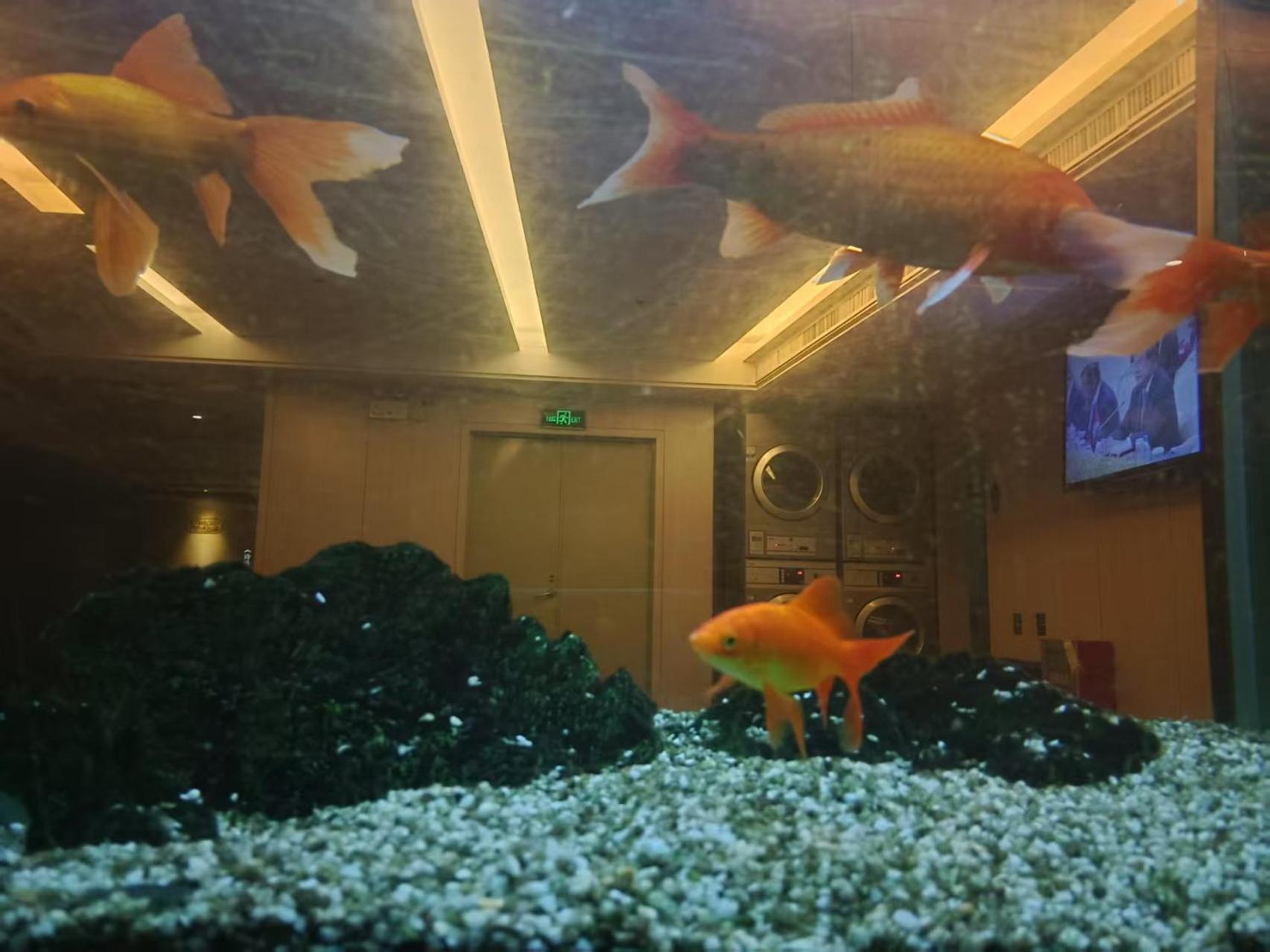 Paco Hotel Tianhe Coach Terminal Metro Satation Guangzhou-Free Shuttle Bus For Canton Fair Buitenkant foto